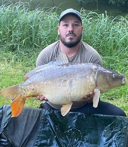 Mirror Carp