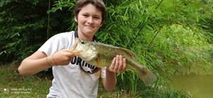 Smallmouth Bass