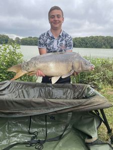 Mirror Carp