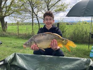Mirror Carp