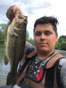 Smallmouth Bass