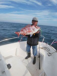 Red Porgy