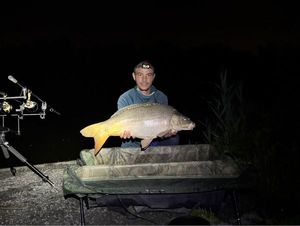 Mirror Carp