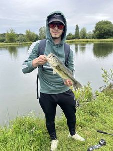 Largemouth Bass