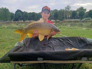 Mirror Carp