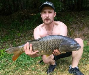 Common Carp