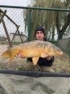 Mirror Carp