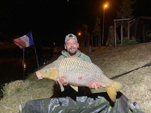 Common Carp