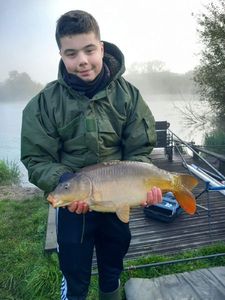 Mirror Carp