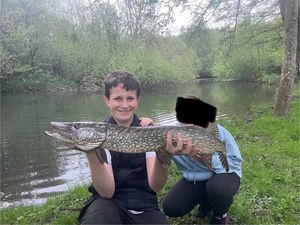 Northern Pike