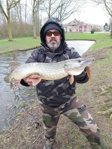 Northern Pike