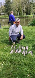 Rainbow Trout