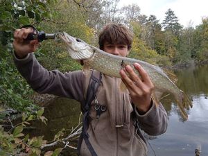 Northern Pike