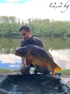 Mirror Carp