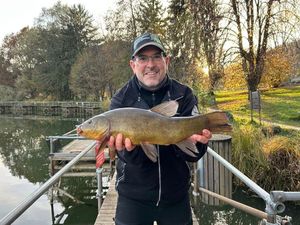 Tench