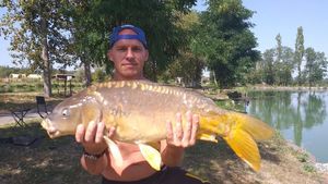 Mirror Carp