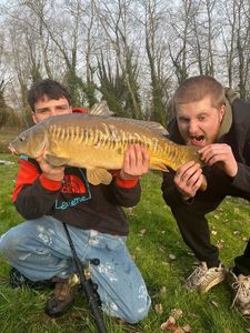 Mirror Carp