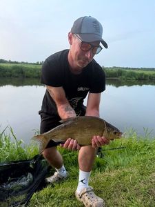 Common Bream