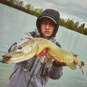 Northern Pike