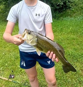 Smallmouth Bass