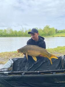 Mirror Carp