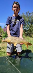 Common Carp