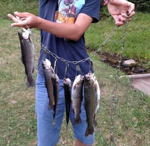 Cutthroat Trout