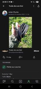 Rainbow Trout
