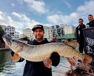 Northern Pike