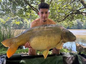 Mirror Carp