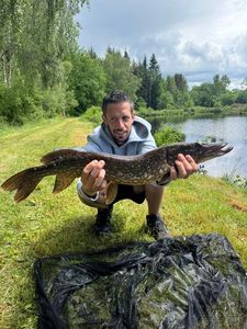 Northern Pike