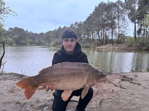 Mirror Carp