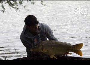 Common Carp