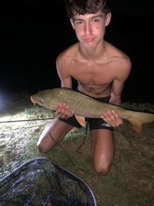Common Carp