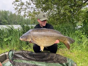 Common Carp