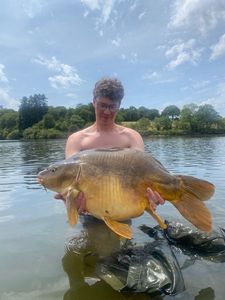 Mirror Carp