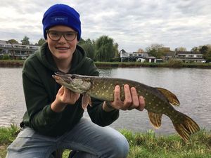 Northern Pike