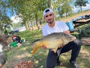 Mirror Carp