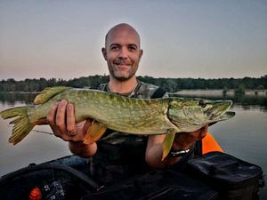 Northern Pike