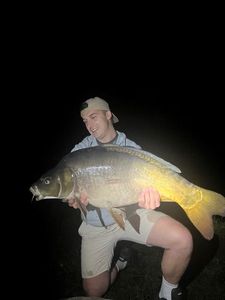 Mirror Carp