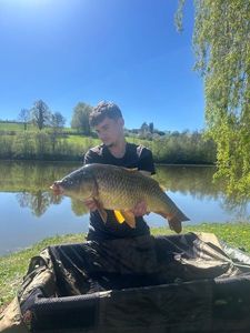 Common Carp