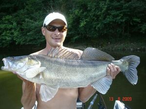 Zander