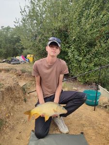 Common Carp