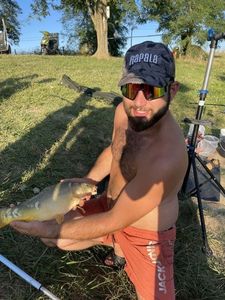 Leather Carp