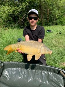 Mirror Carp