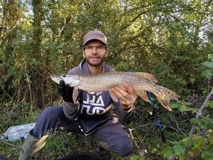 Northern Pike