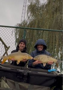 Mirror Carp