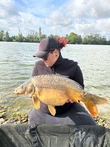 Mirror Carp