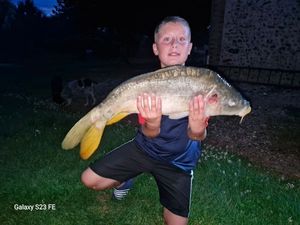 Mirror Carp