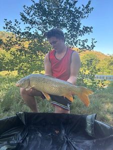 Grass Carp